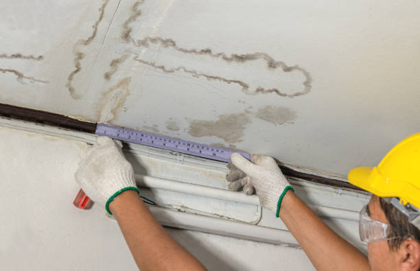 Reliable Burst Pipe Cleanup contractor in Cascade, CO by Water Damage Irwin
